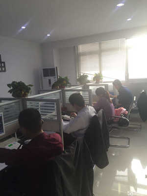 南阳市鼎信商务信息咨询 计算机信息咨询的行业引领者